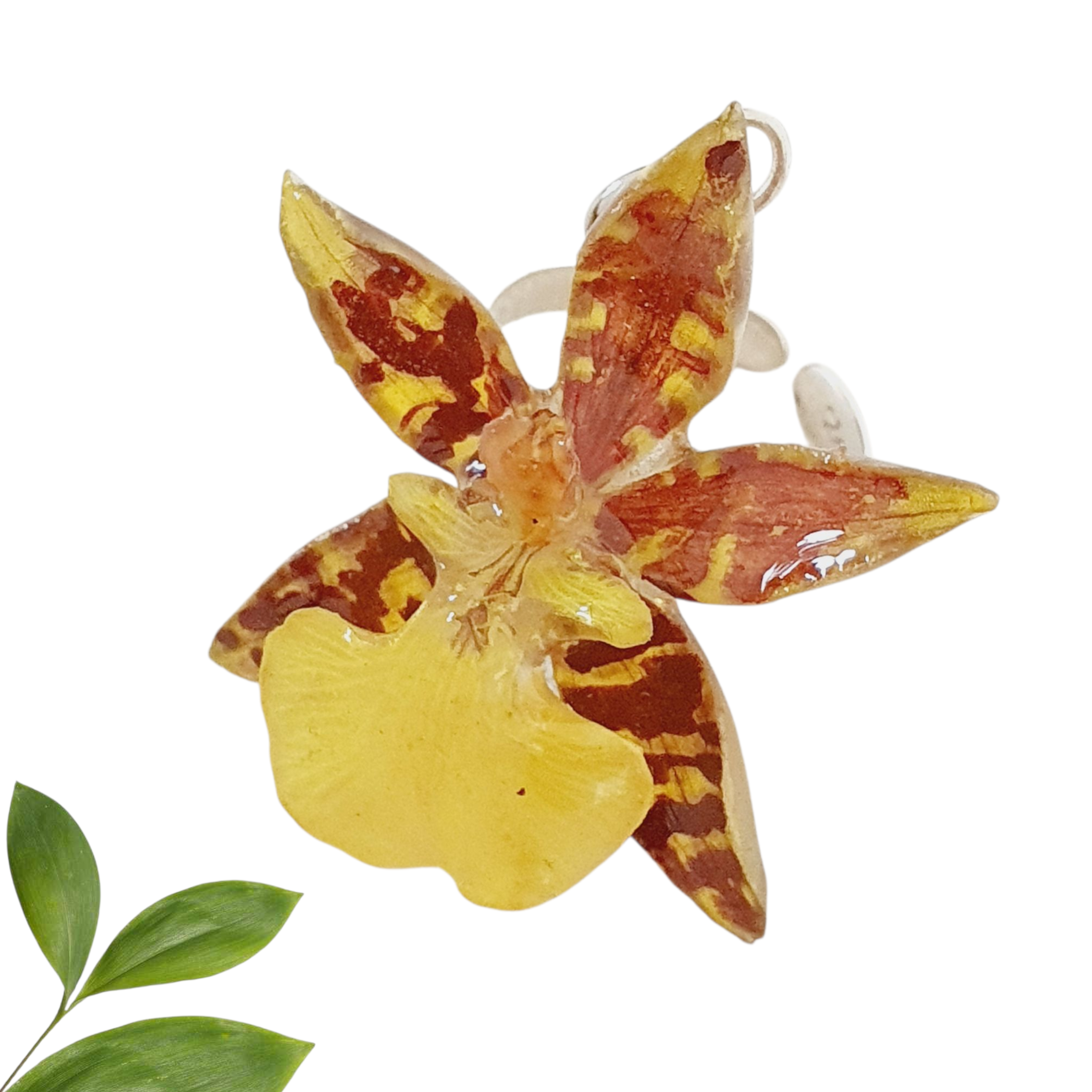 ANILLO orquídea oncidium