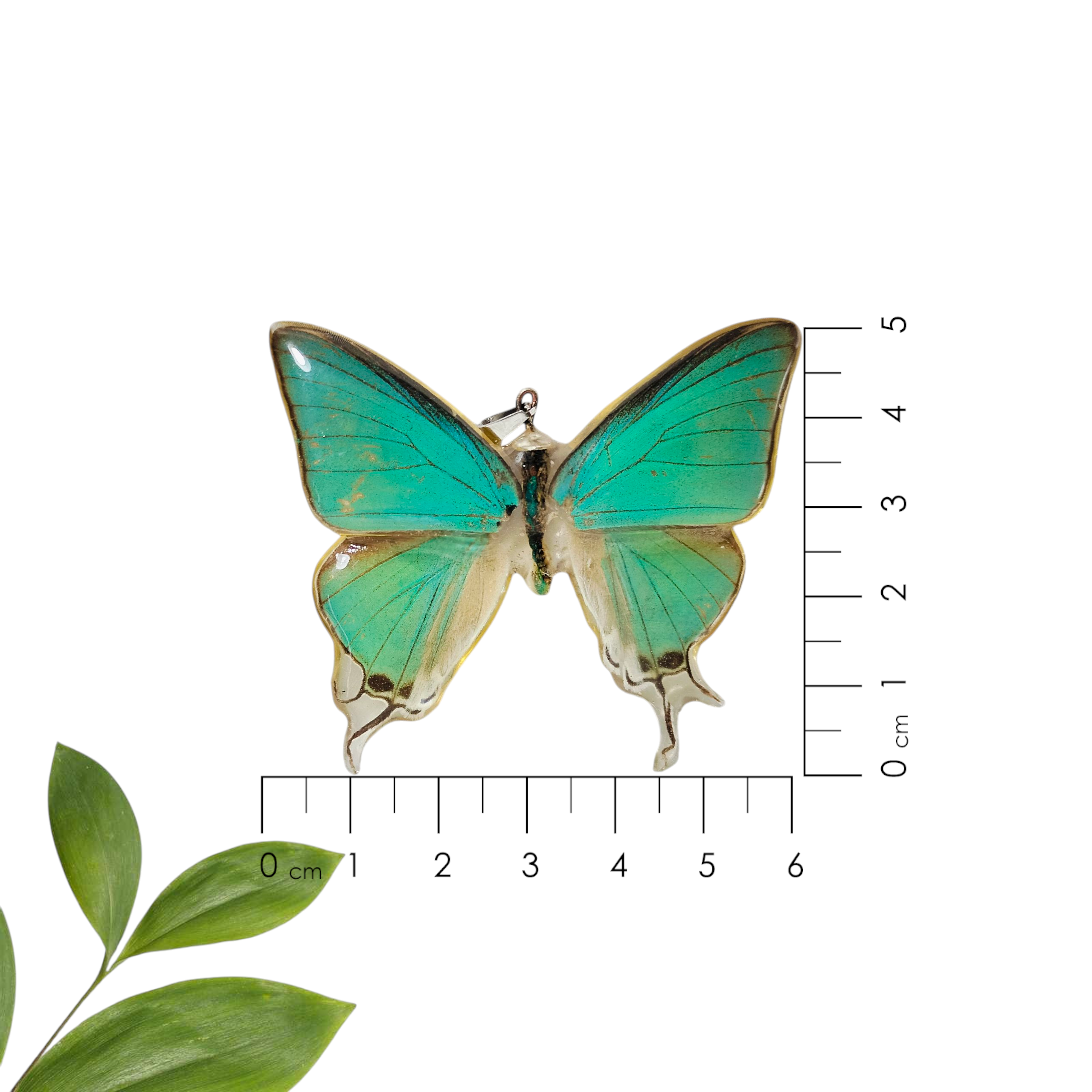 Anillo de Mariposa Azul