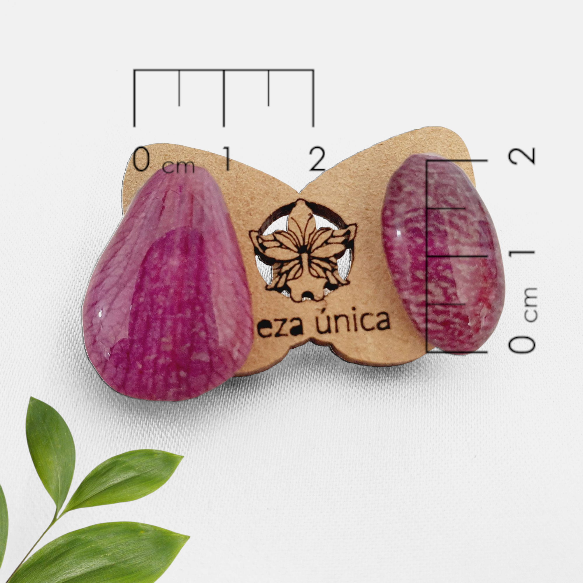 Orquidea morada