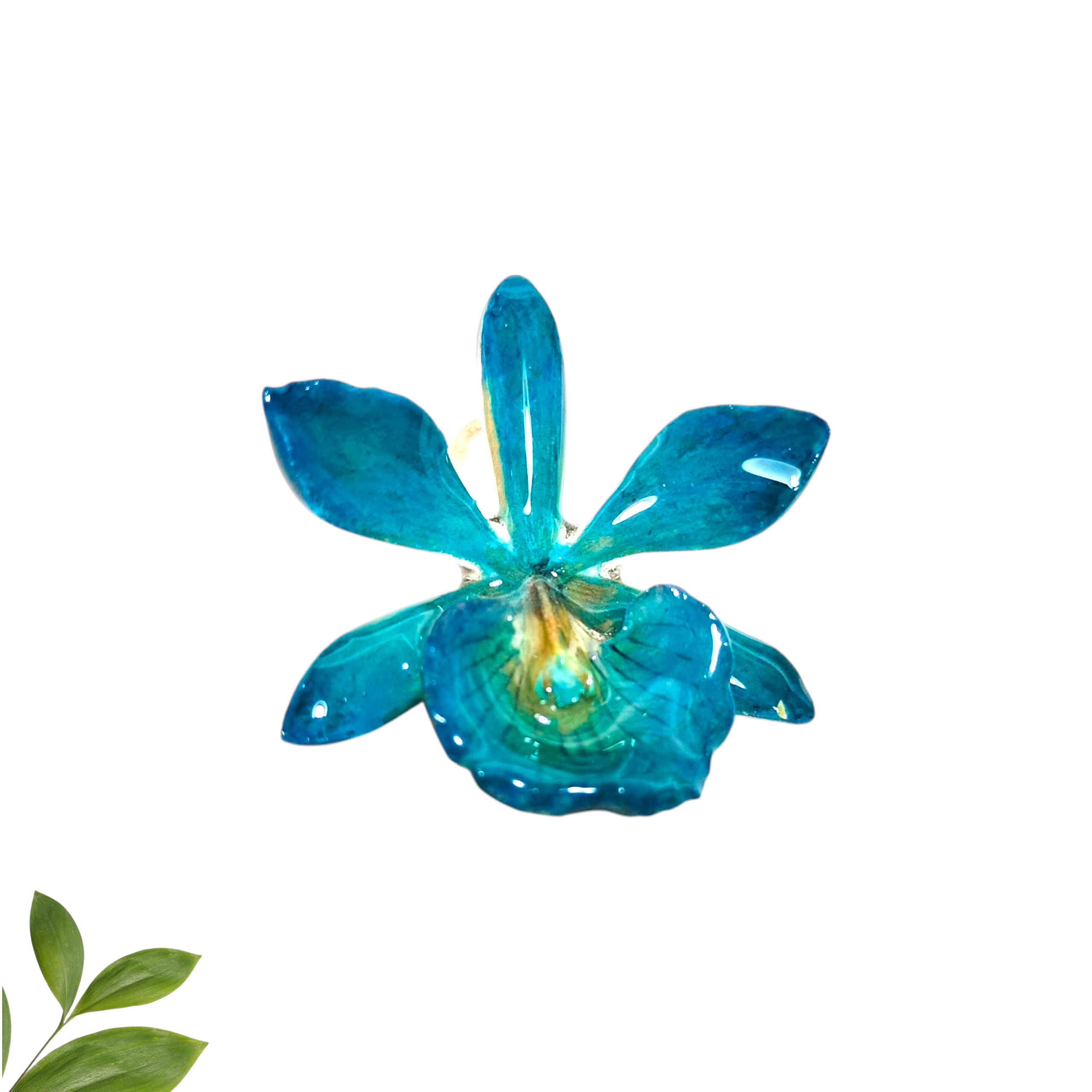 Anillo de Radiata Azul