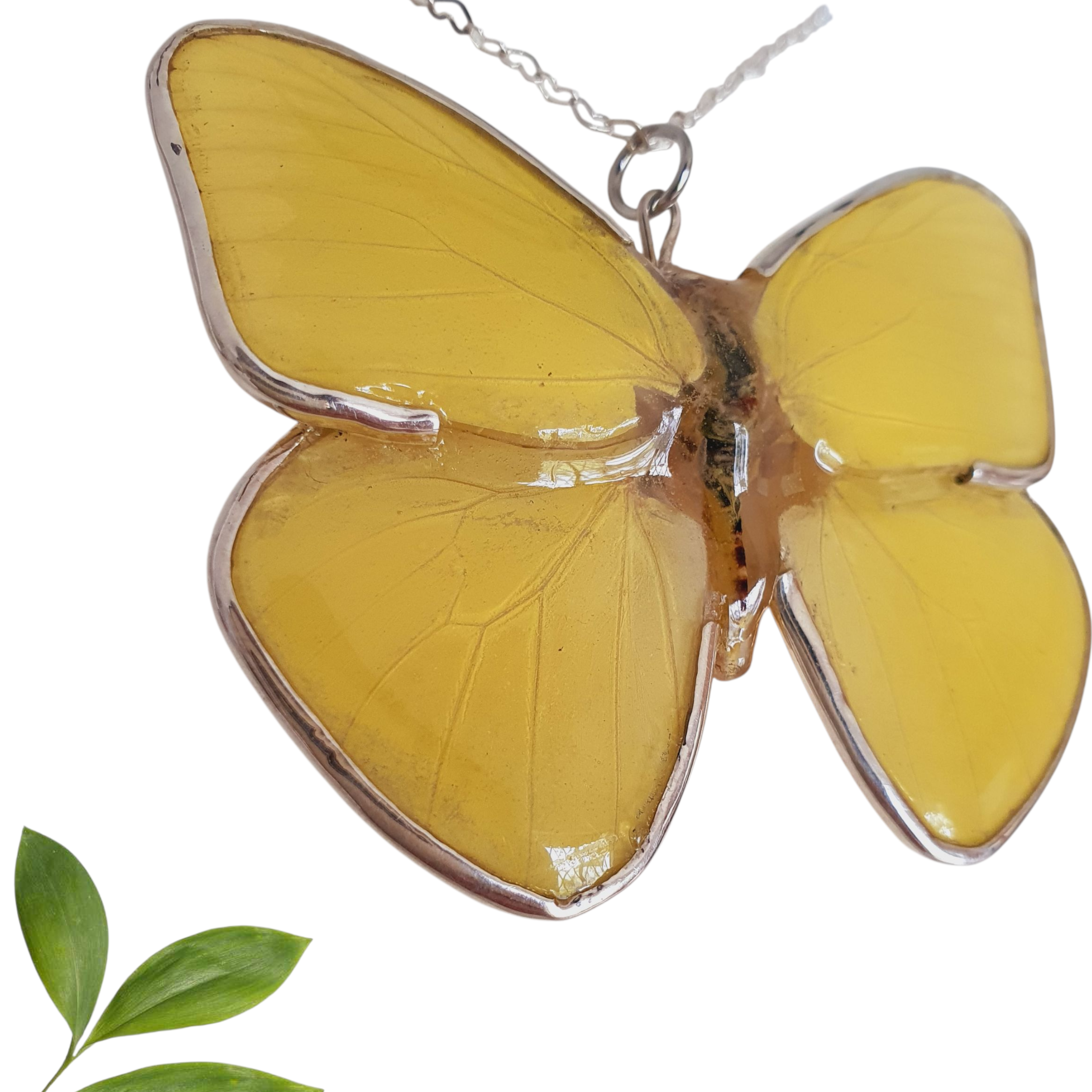 Dije de mariposa phoebis