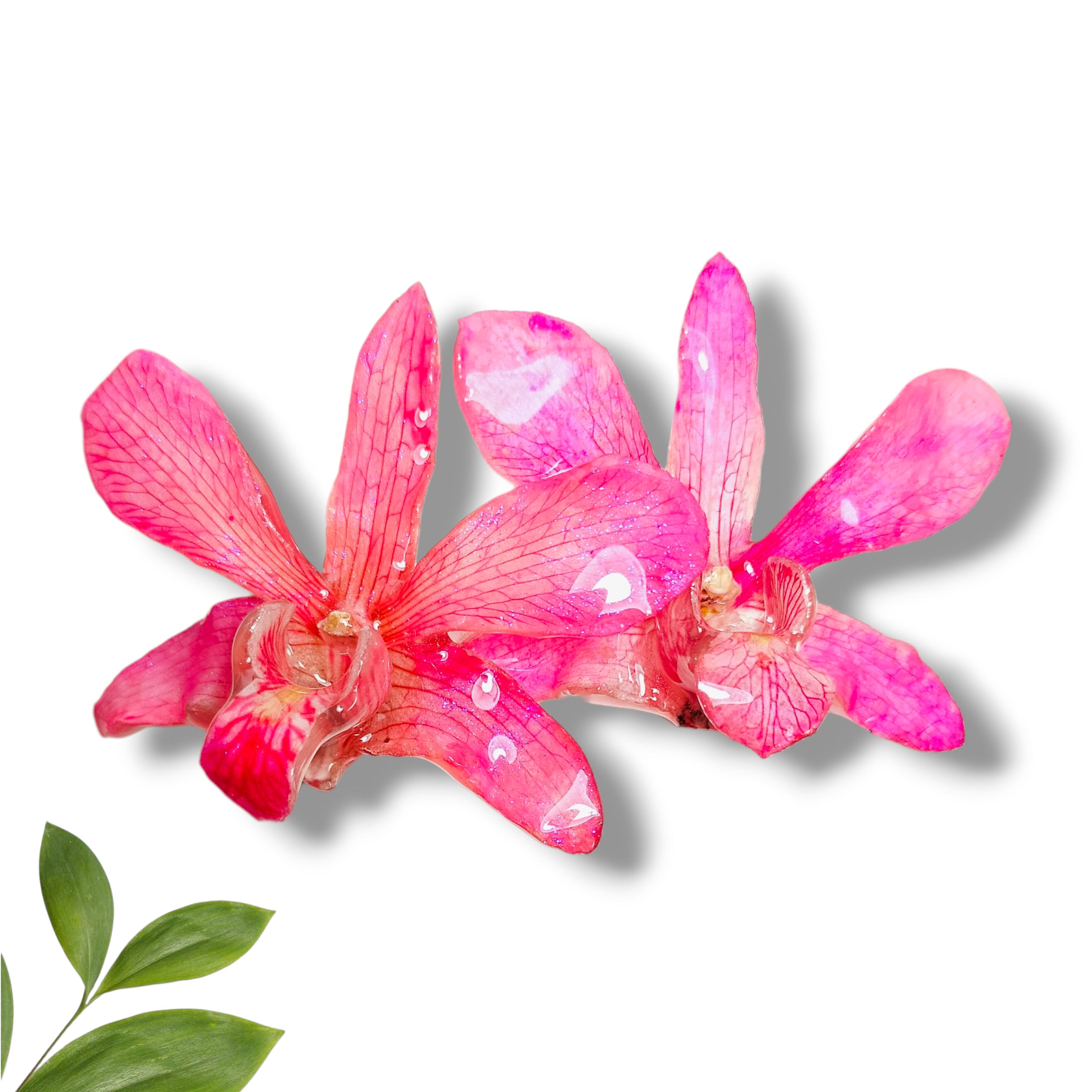 Aretes de Orquídeas Rosas