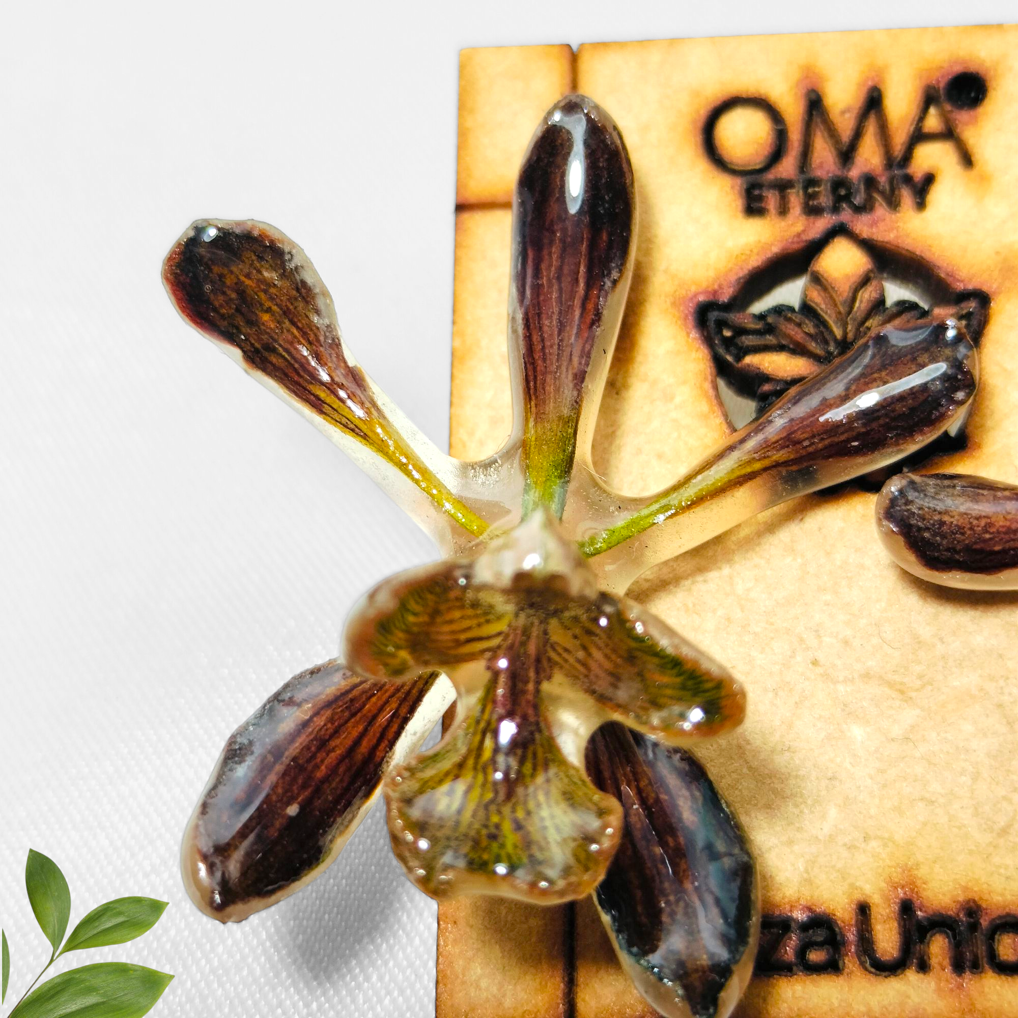 Aretes de Orquídea Café