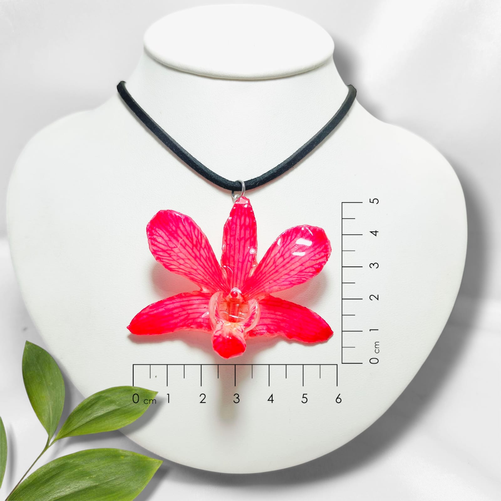 Orquídea Rosa