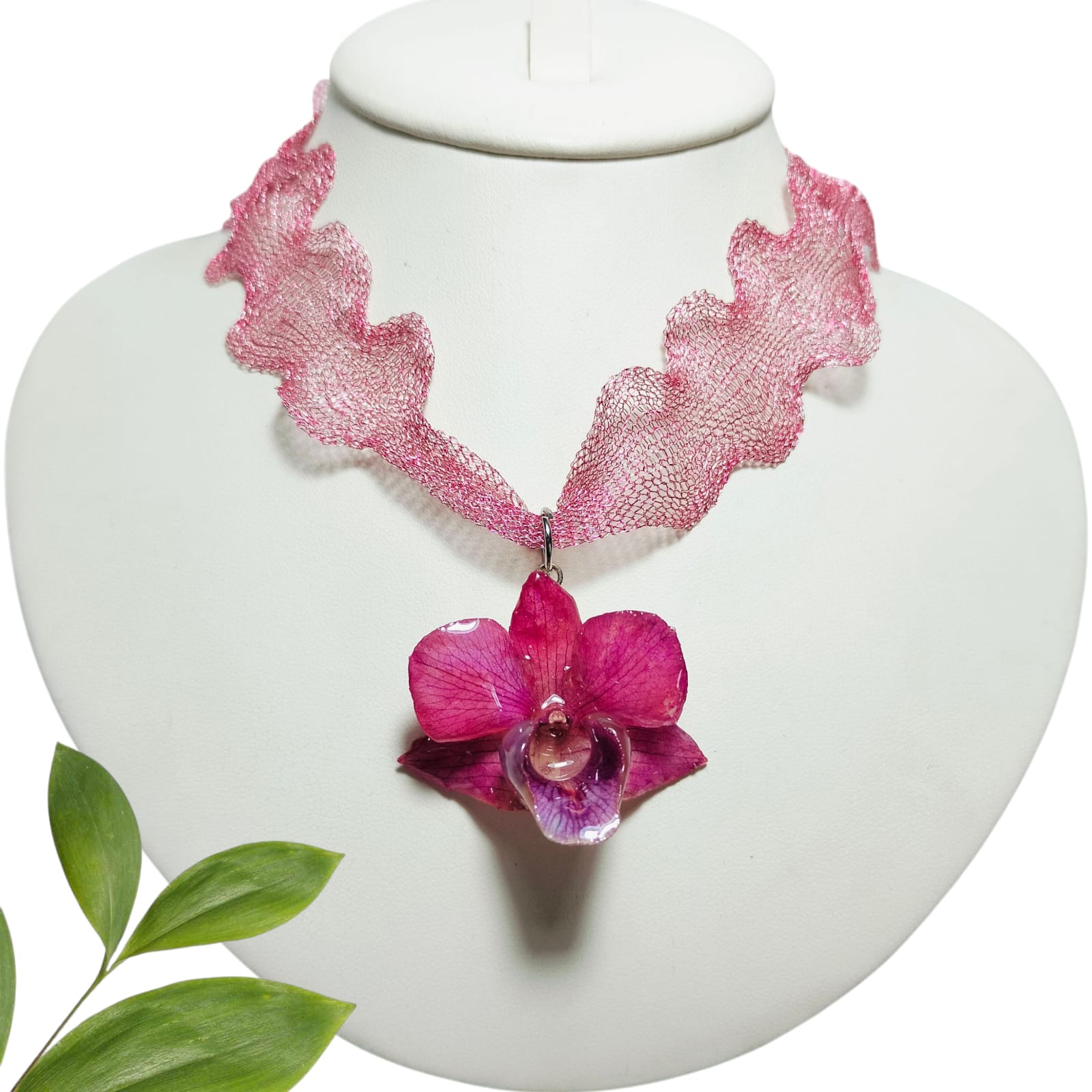 Dendrobium Rosa con collar Rosa