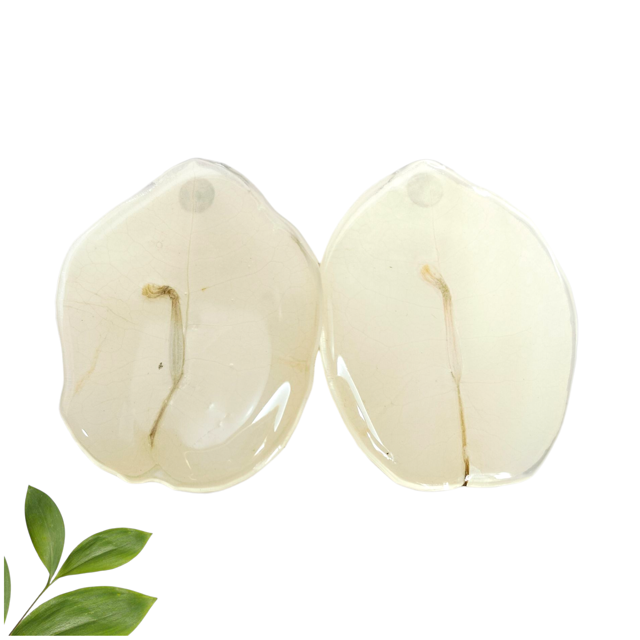 Aretes de Pétalo de Bugambilia