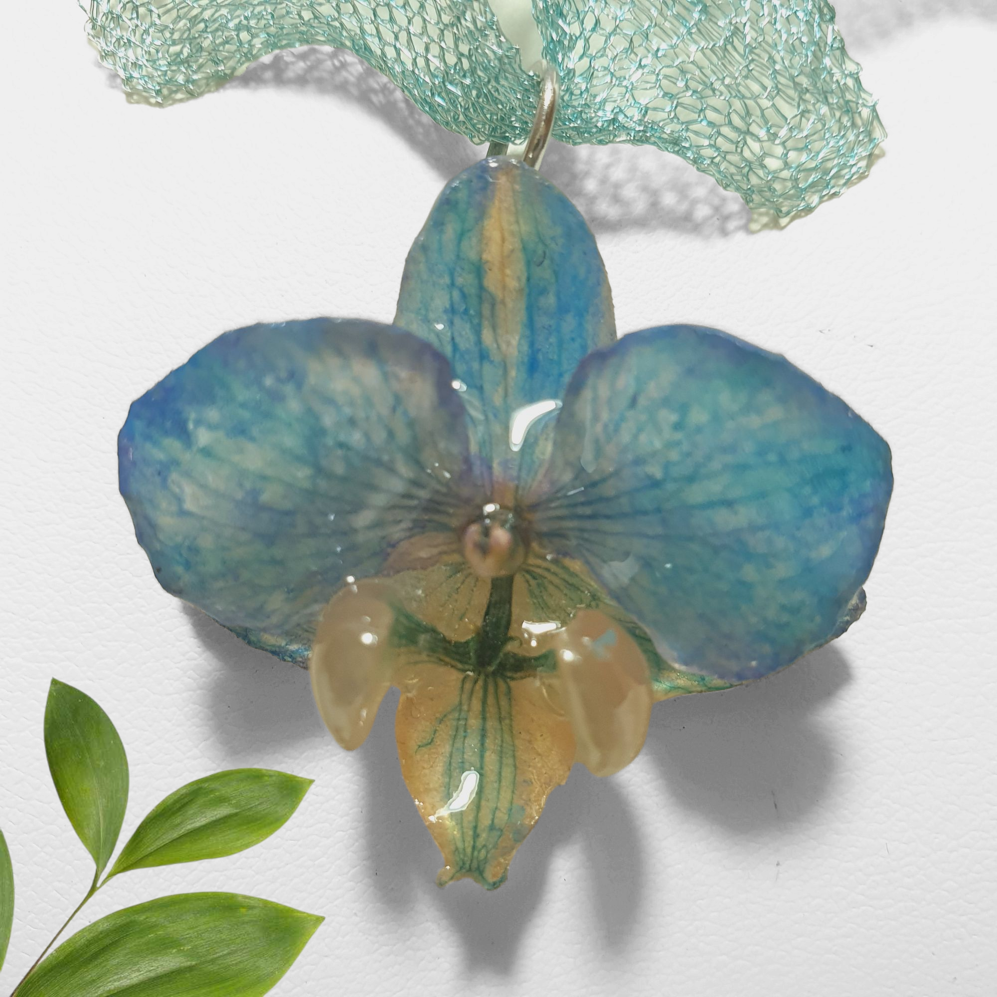 Juego de Phalaenopsis Azul Mediana con Cadena de Malla de Titanio