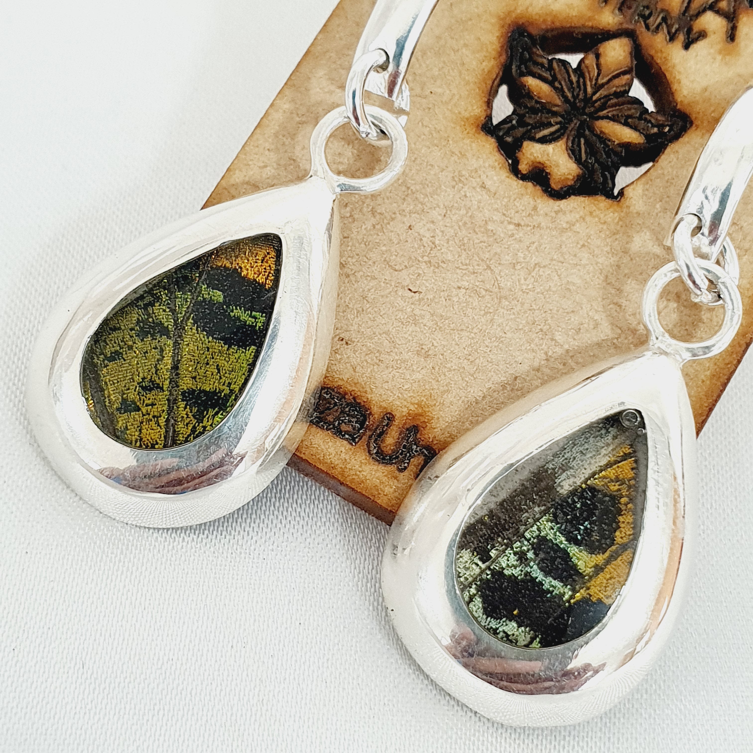 Aretes Fragmento de ala