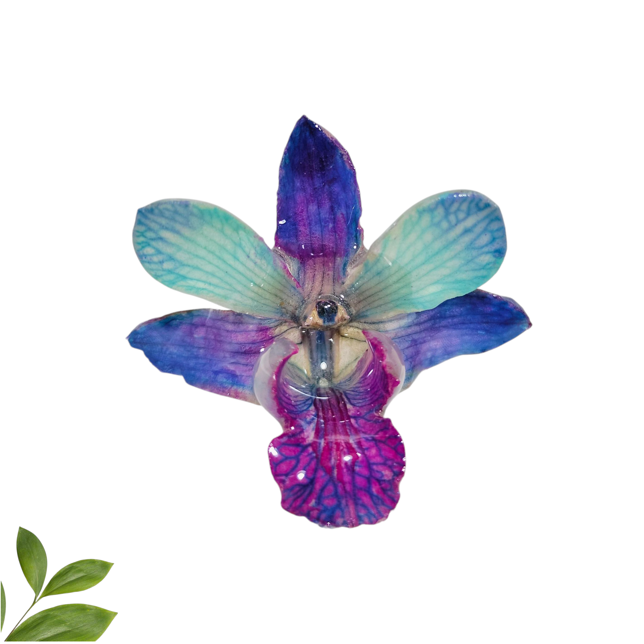 Anillo de Orquídea Morada con Azul