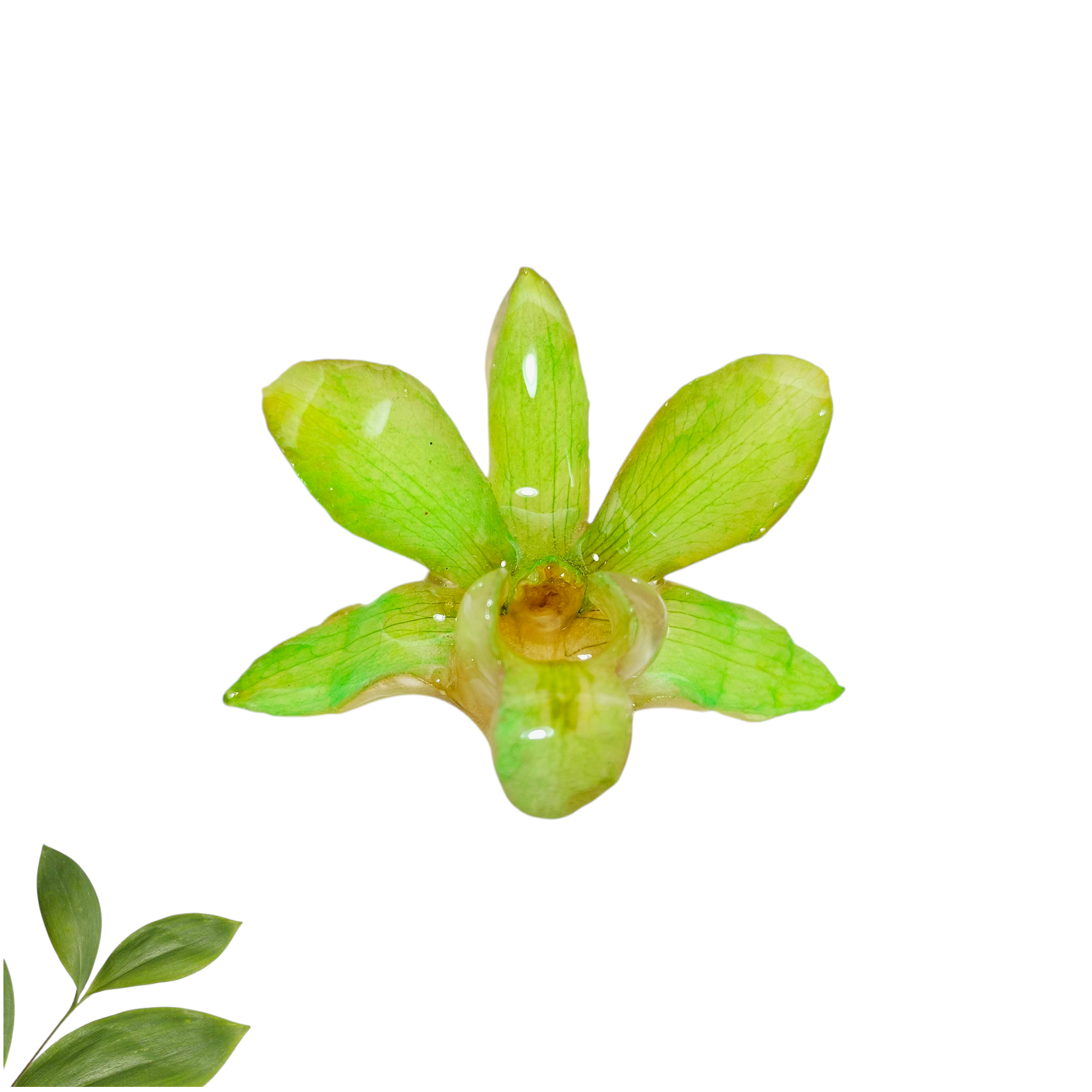 Anillo de Orquídea Verde