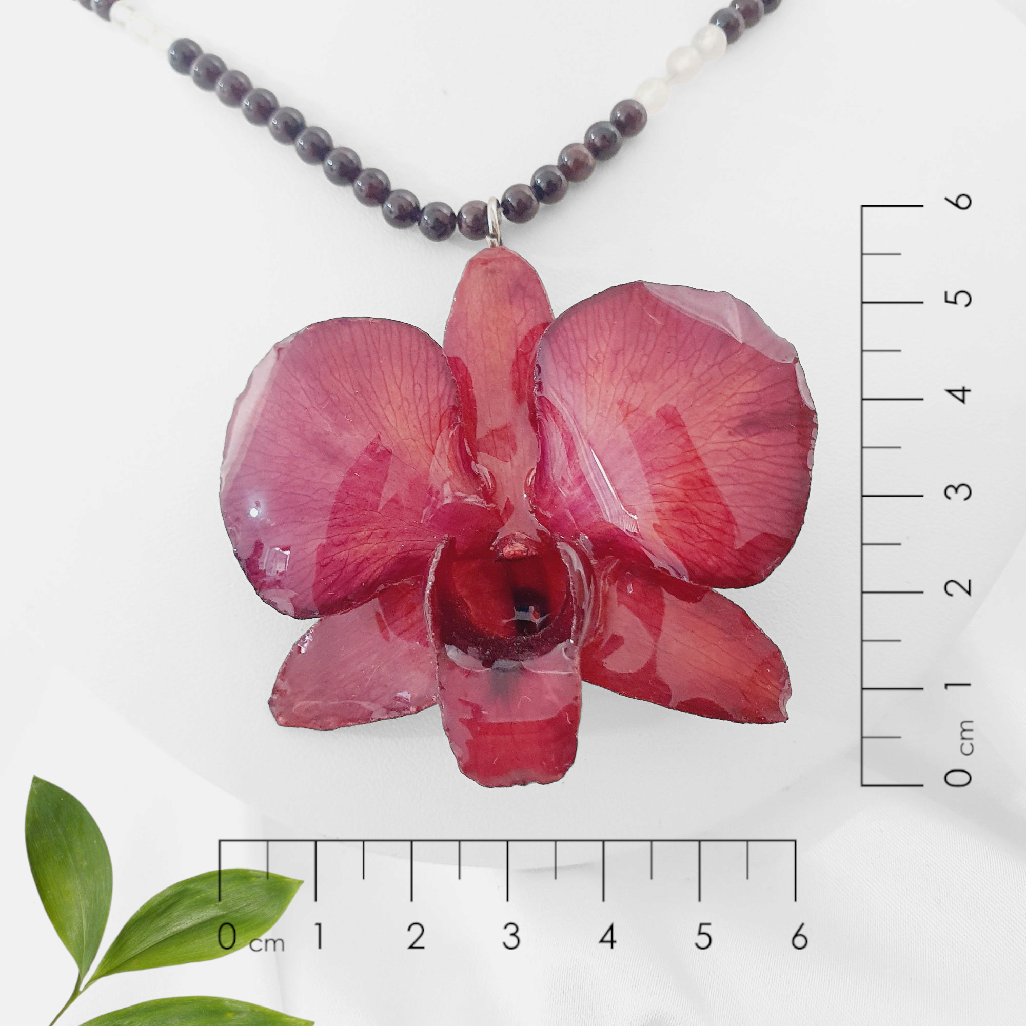Orquidea color vino