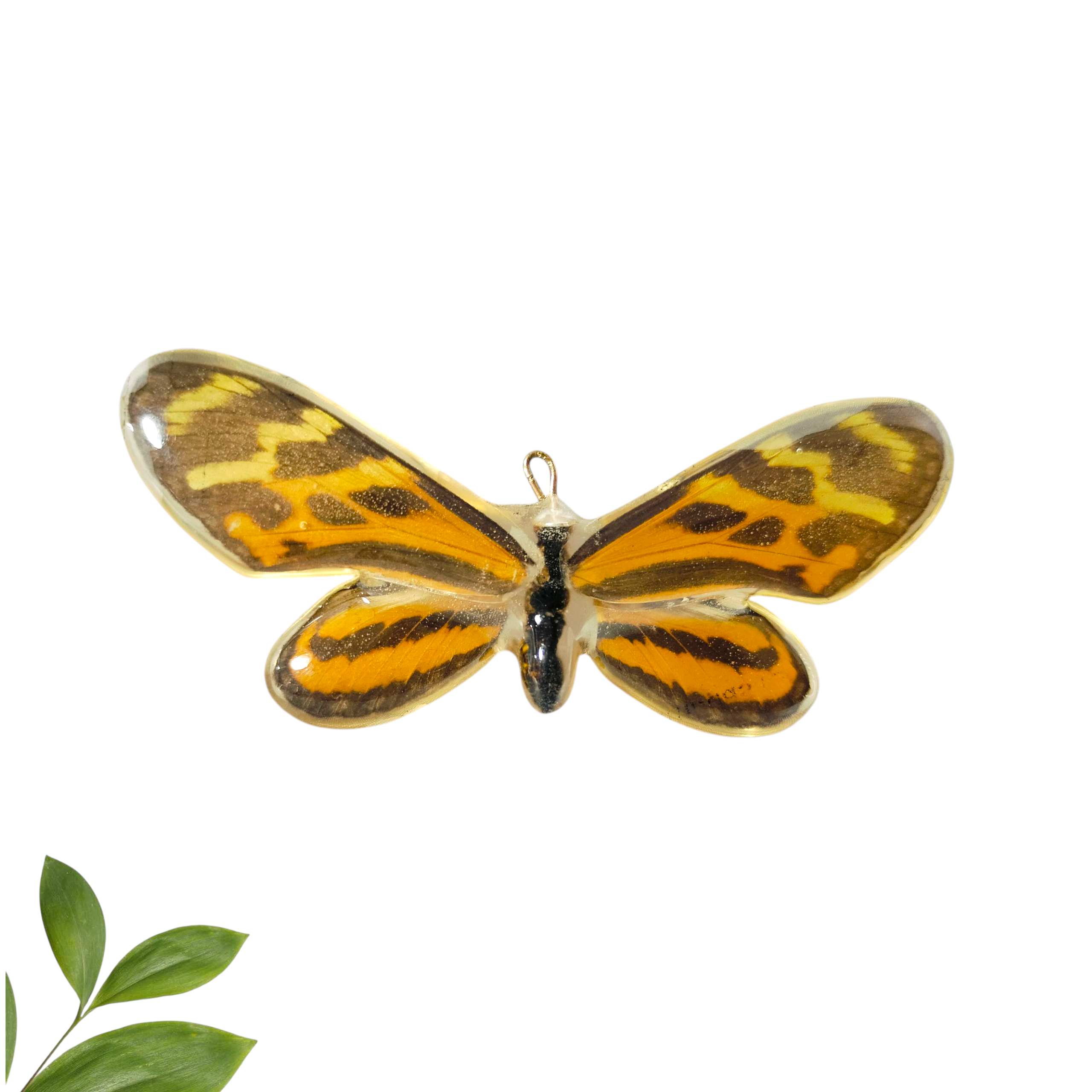 Anillo de Mariposa Silvestre