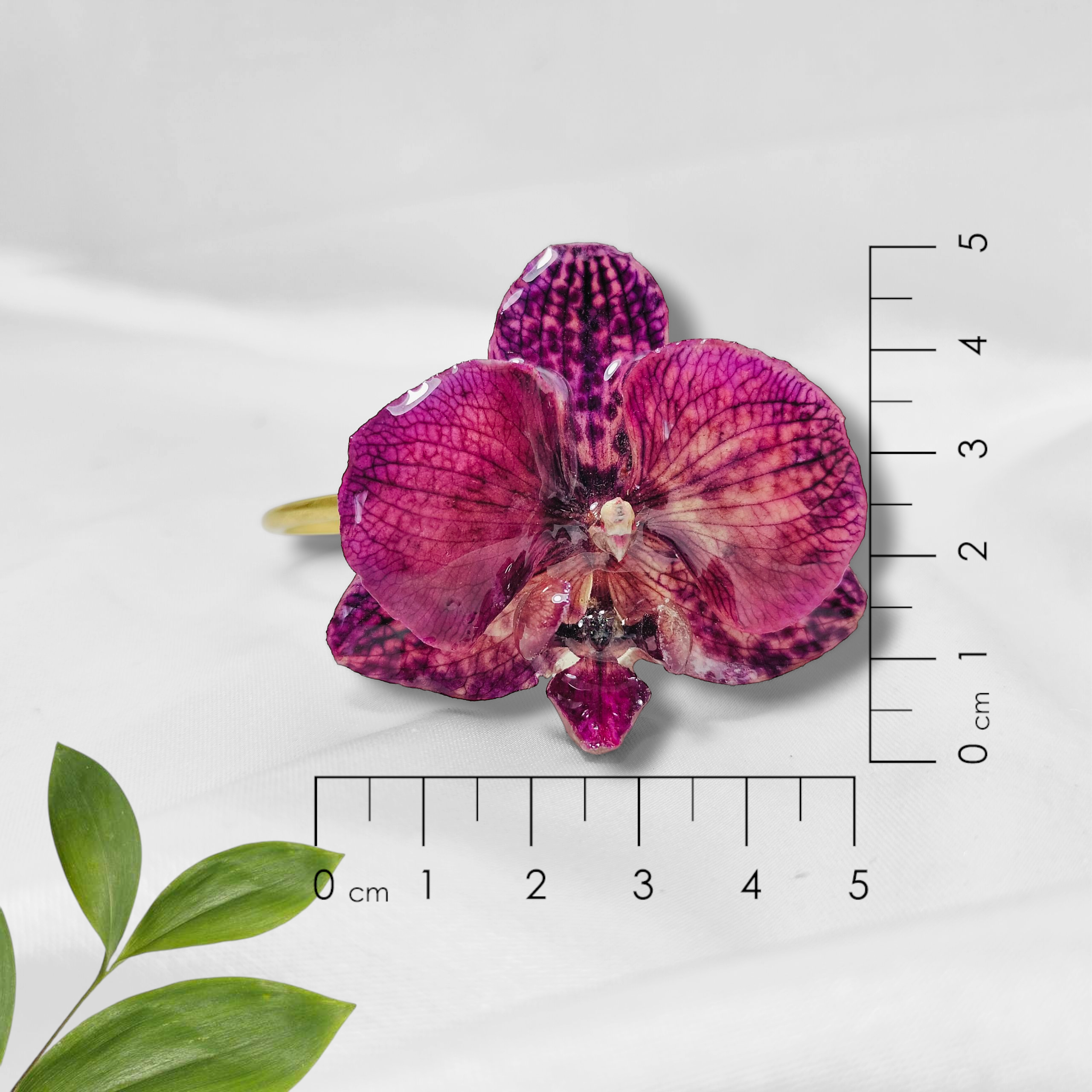 Orquídea Morada