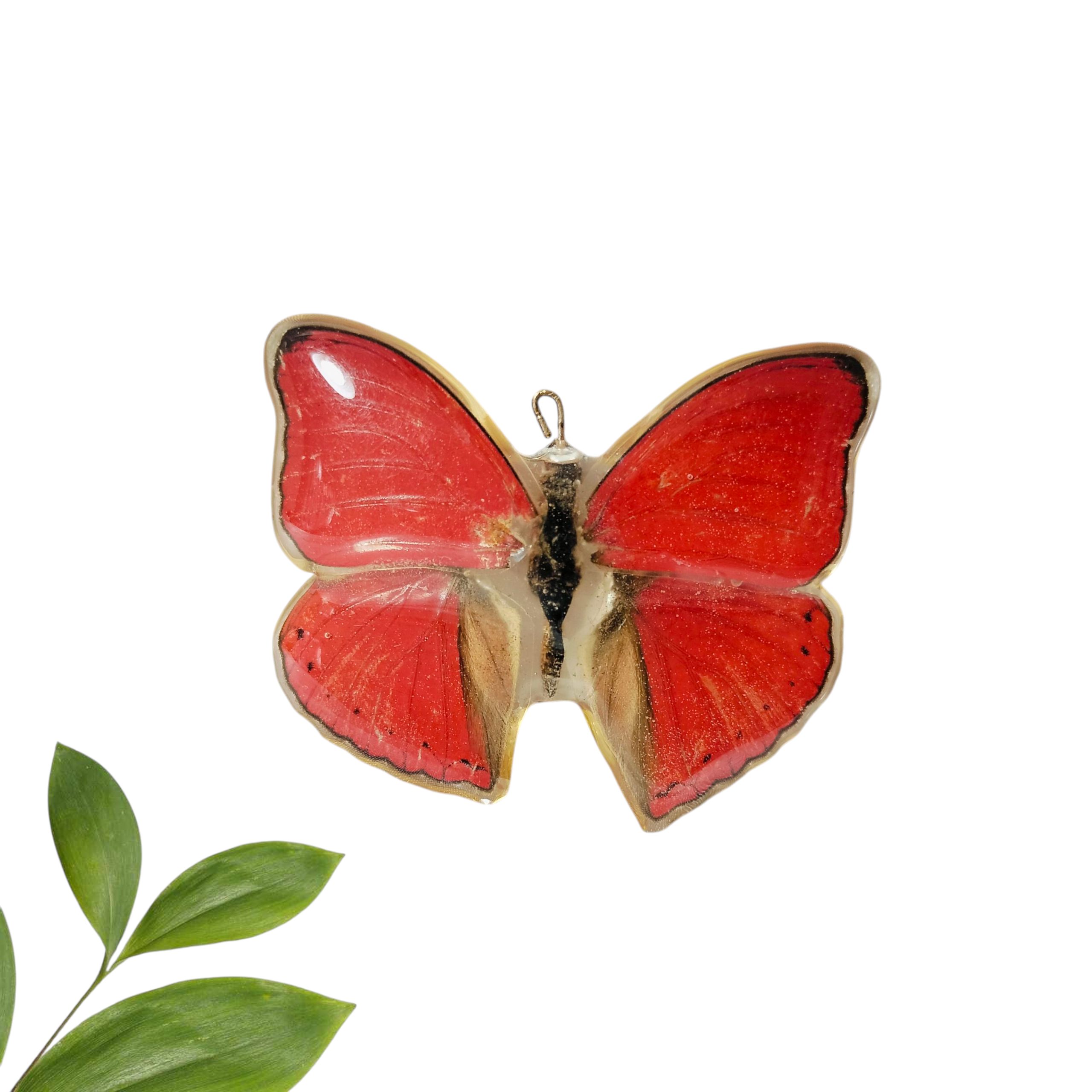 Anillo de Mariposa Roja