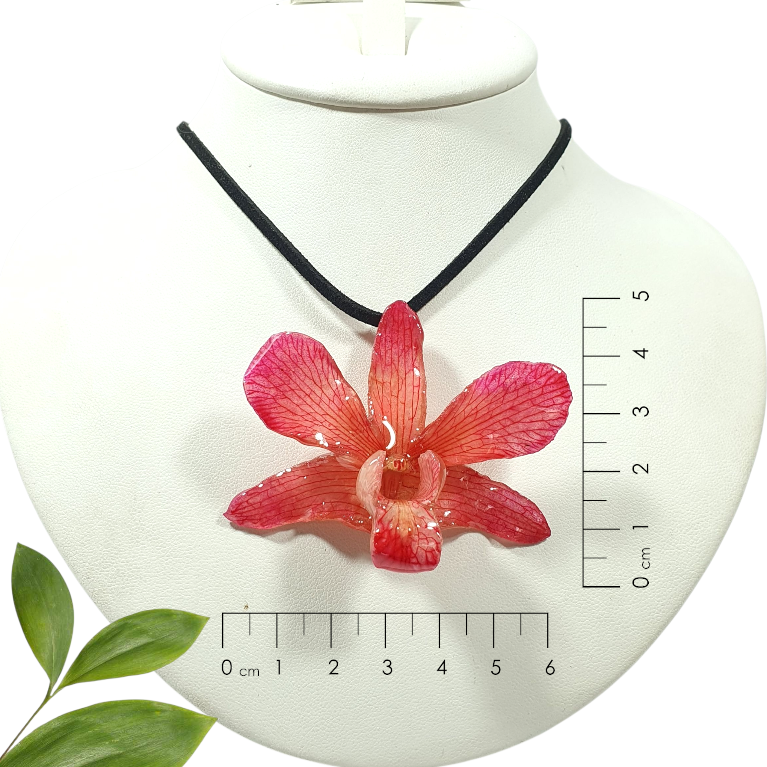 Dendrobium rosa con collar de gamuza