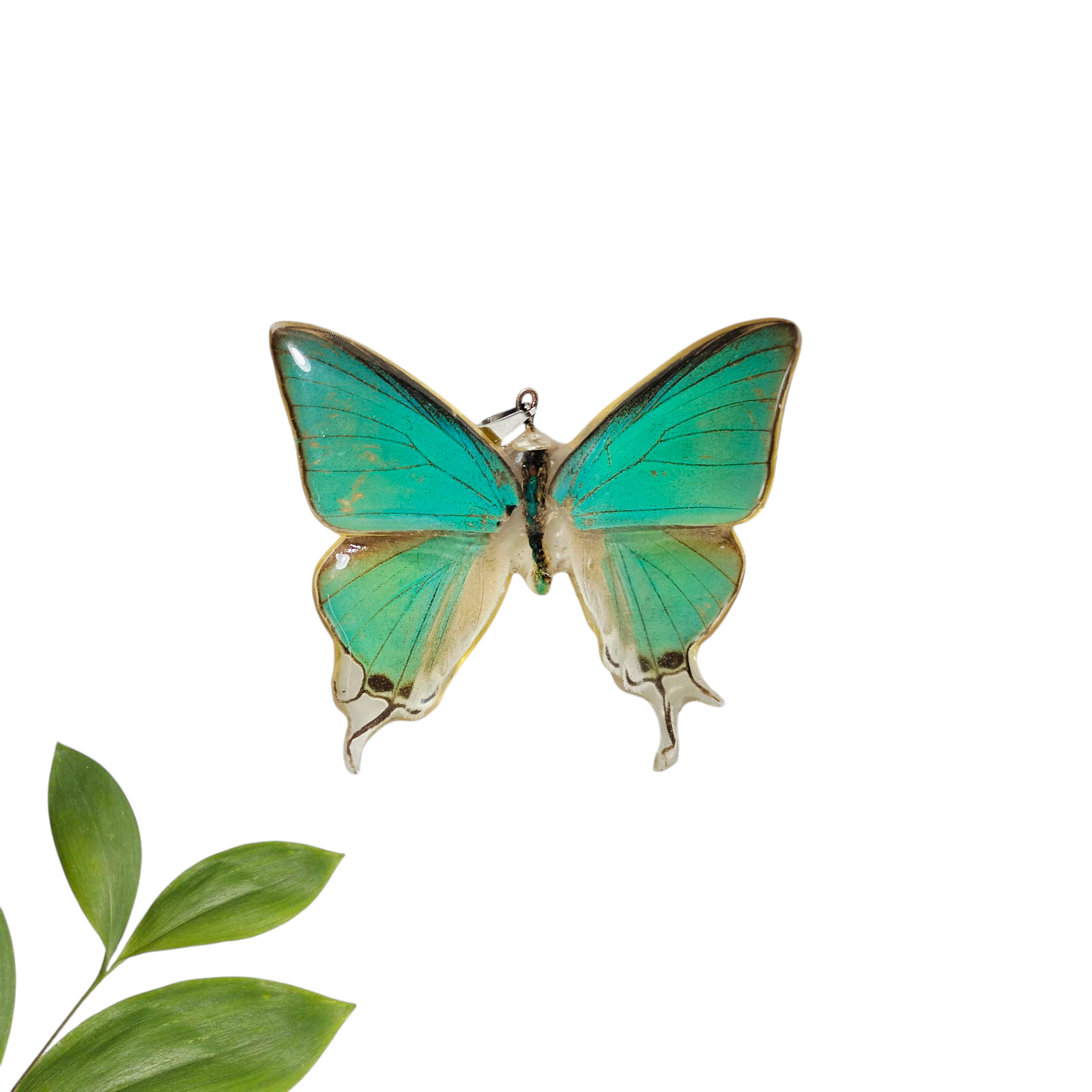 Anillo de Mariposa Azul