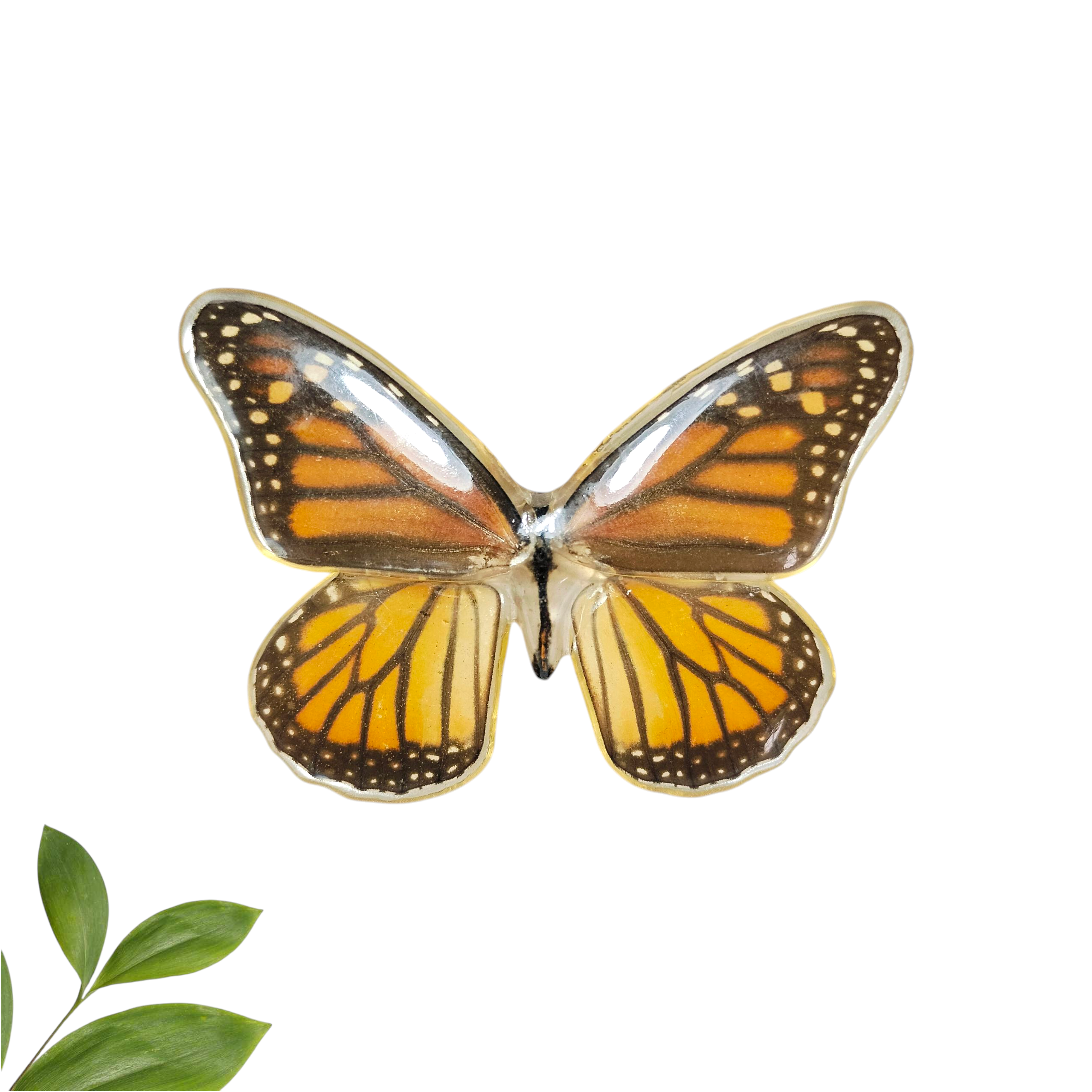 Dije de mariposa monarca con broche para cabello