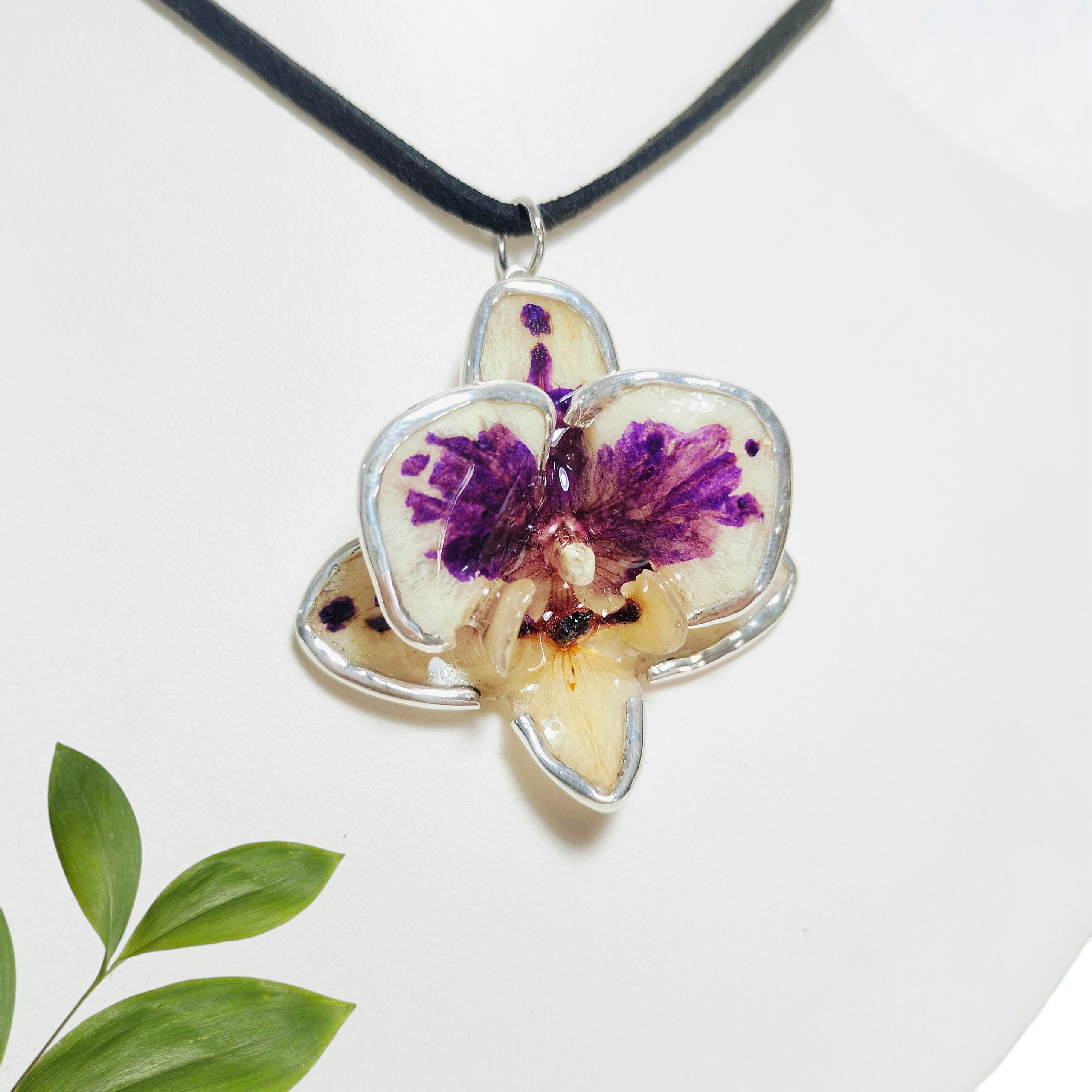 Orquídea Vaquita con Orilla de Plata
