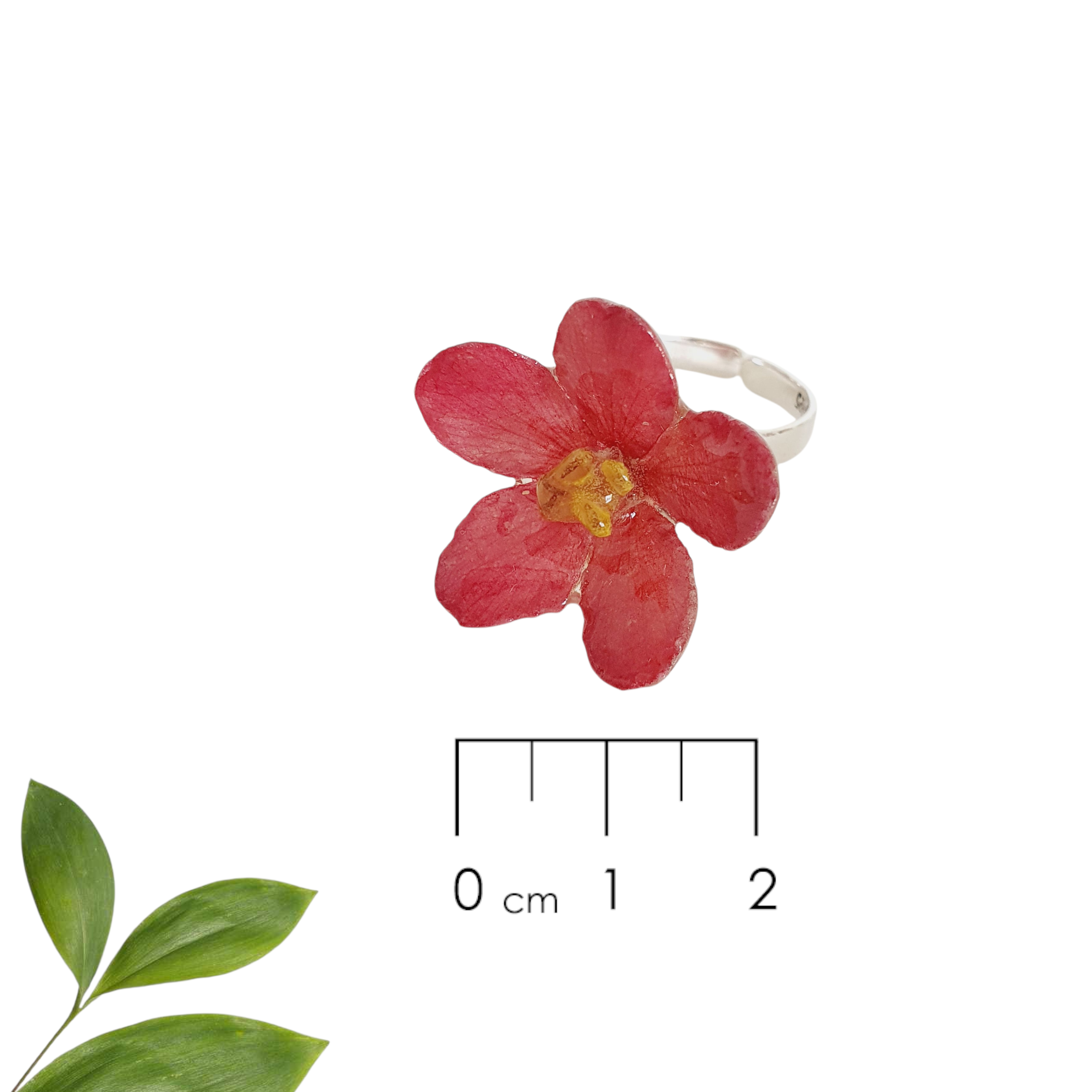 ANILLO Flor de peregrina