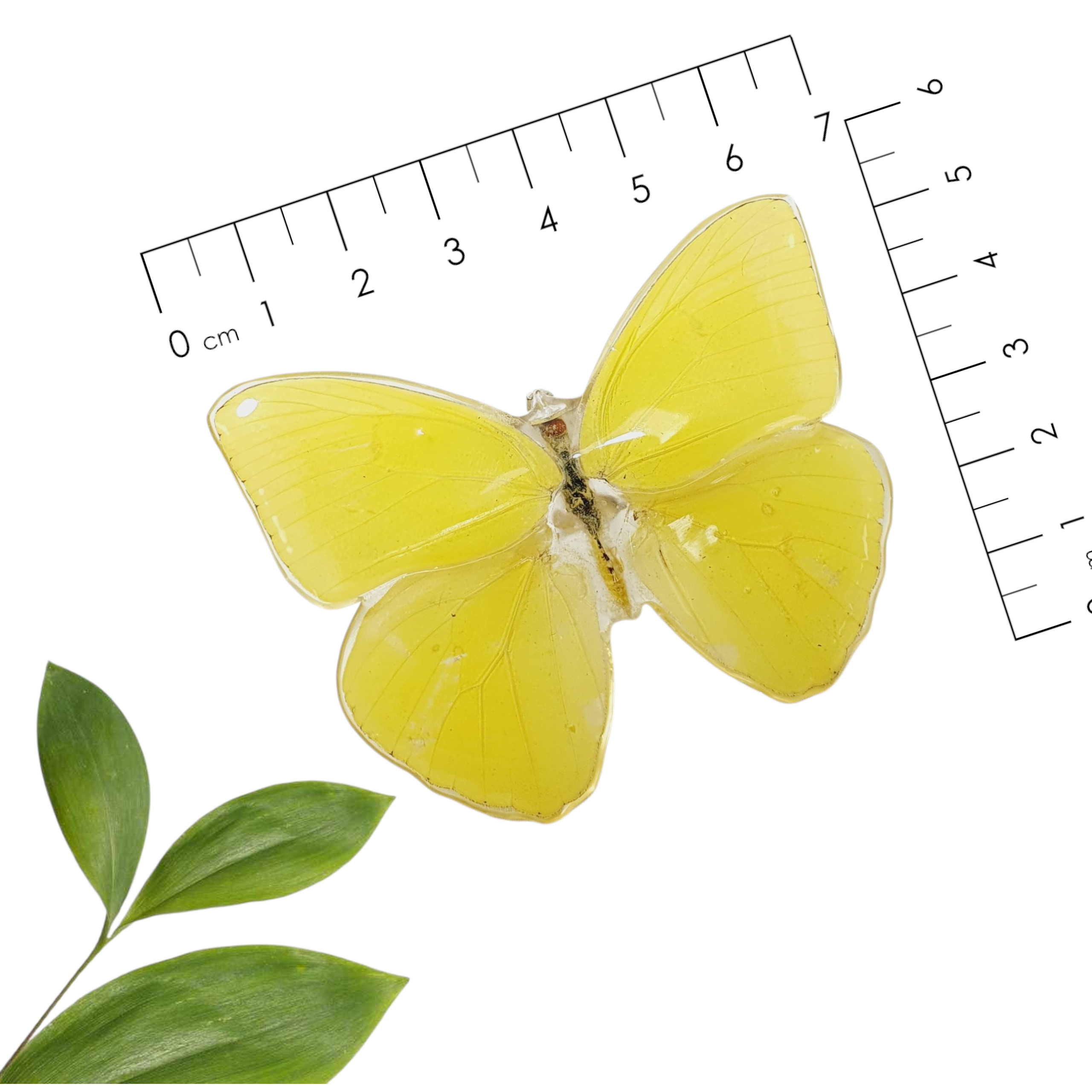 Anillo y aretes de mariposa amarilla