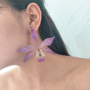 Aretes de Laelia