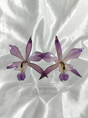 Aretes de Laelia