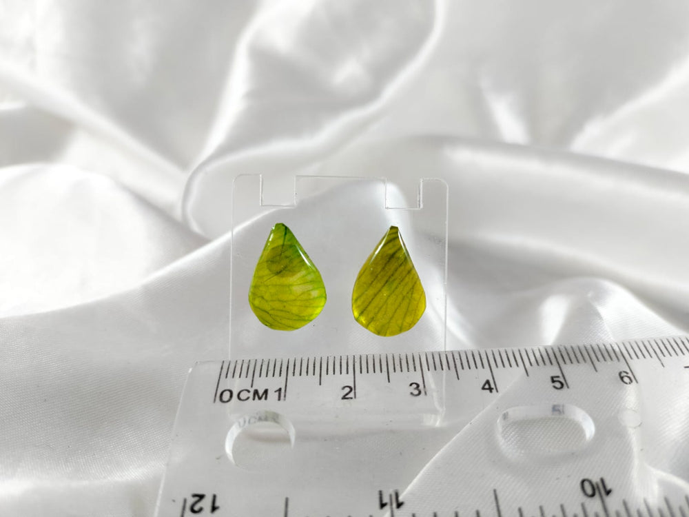 Aretes de pétalos de orquídea verdes