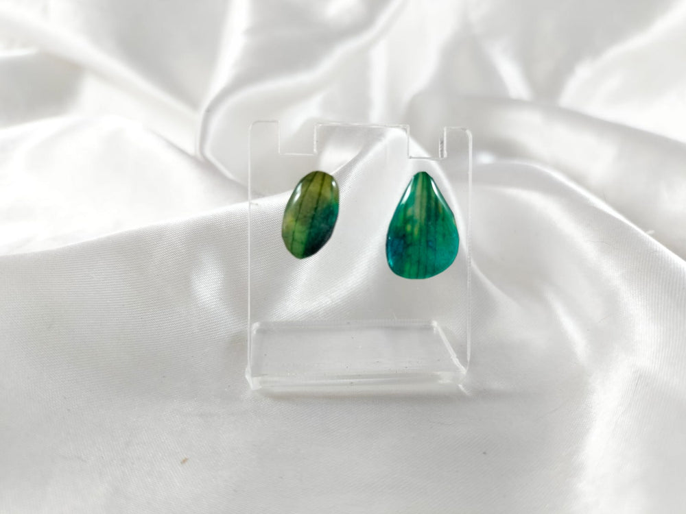 Aretes de pétalos de orquídea verdes